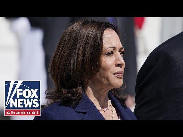 Kamala Harris: Russia is responsible for death of Alexei Navalny