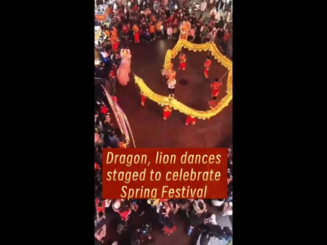 Dragon, lion dances staged to celebrate Spring Festival in S China