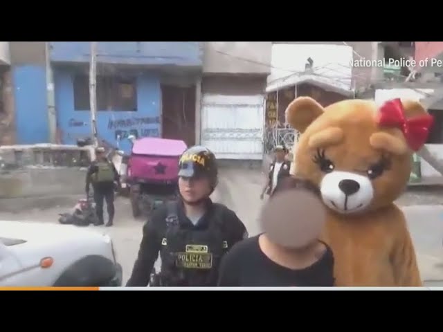 Cop Disguised As Teddy Bear Makes Arrest