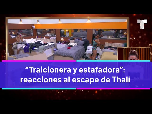 La Casa de los Famosos 4 | “Traicionera y estafadora”: reacciones al escape de Thalí