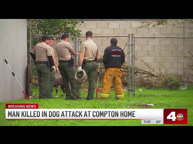 1 killed in Compton dog attack