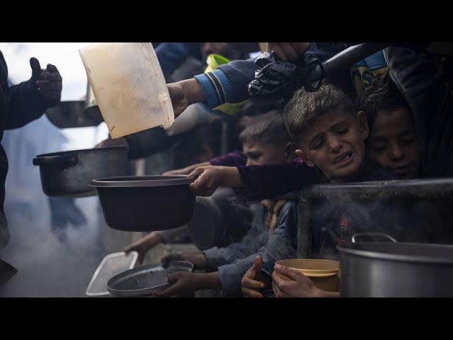 Verzweifelte Kinder in Gaza: Fast nichts mehr zu essen in Rafah