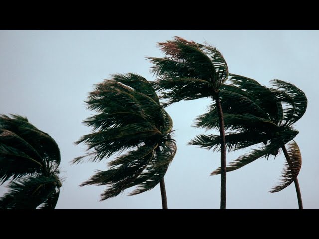 Tropical Cyclone Lincoln makes landfall