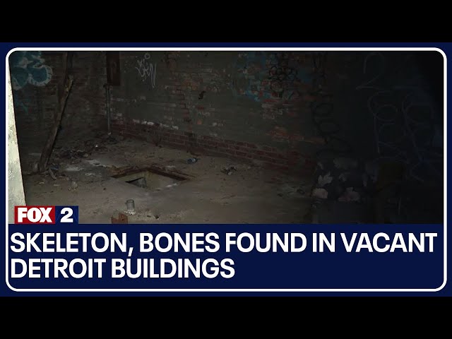 Skeleton, bones found in vacant Detroit buildings