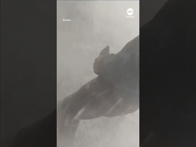 Massive avalanche captured by eyewitness in India