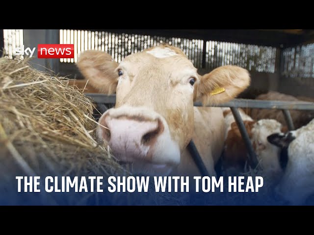 The tension over solar, and could Trump reverse climate progress? The Climate Show with Tom Heap