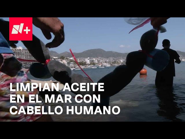 Barcos hundidos tras Otis contaminan el mar con aceite; cabello humano podría ser la solución