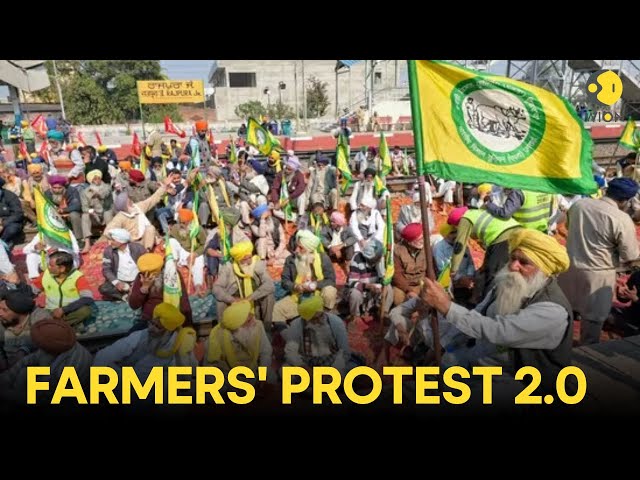 Farmers' Protest LIVE Updates: Police fire tear gas at Indian farmers in fresh clashes | WION L