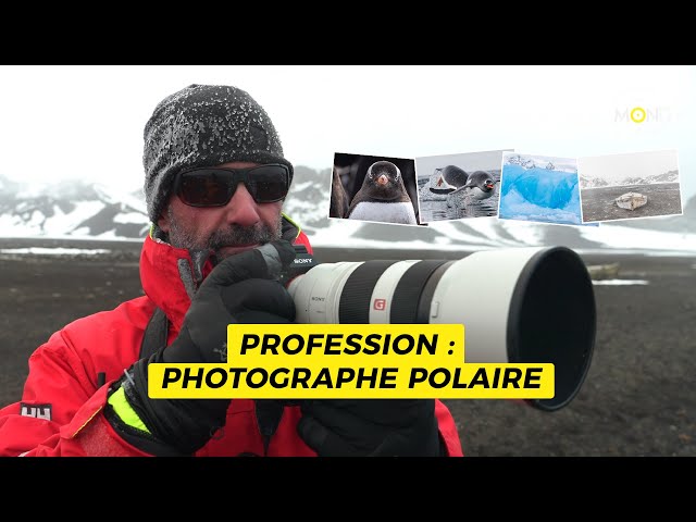 Photographe polaire au coeur de l'Antarctique - Un Monde à part