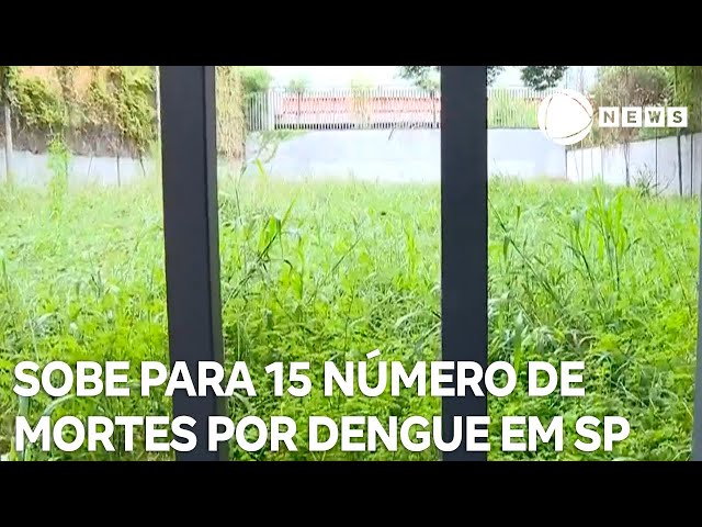 Número de mortes por dengue no estado de São Paulo sobe para 15