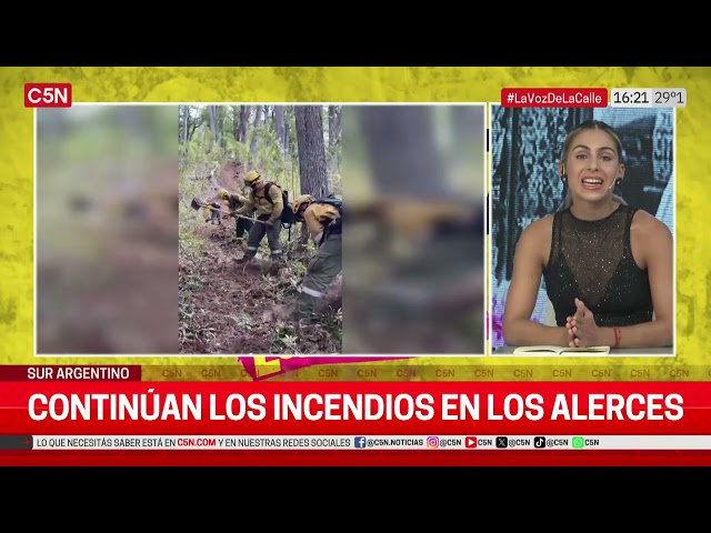 Continúan los INCENDIOS en LOS ALERCES