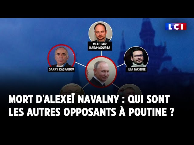 Mort d'Alexeï Navalny : qui sont les autres opposants à Poutine ?