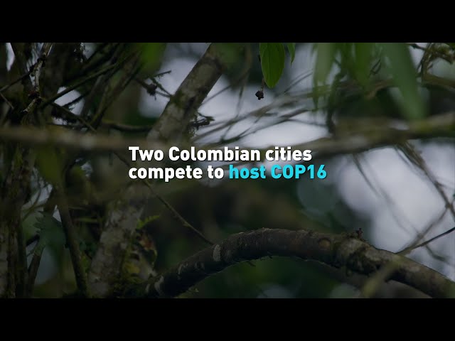 Two Colombian cities compete to host COP16