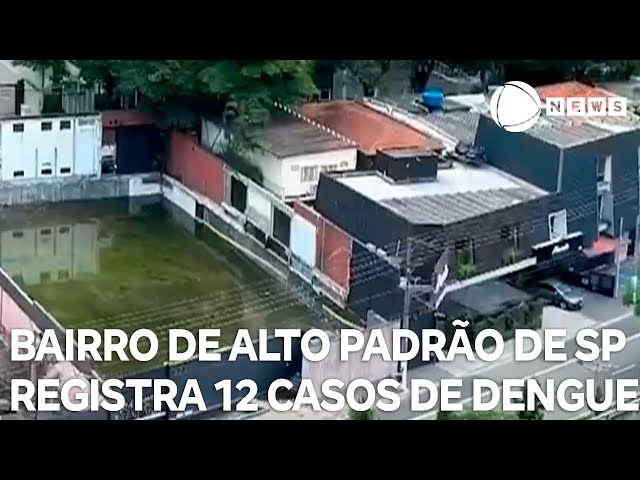 Bairro de alto padrão em São Paulo registra 12 casos de dengue