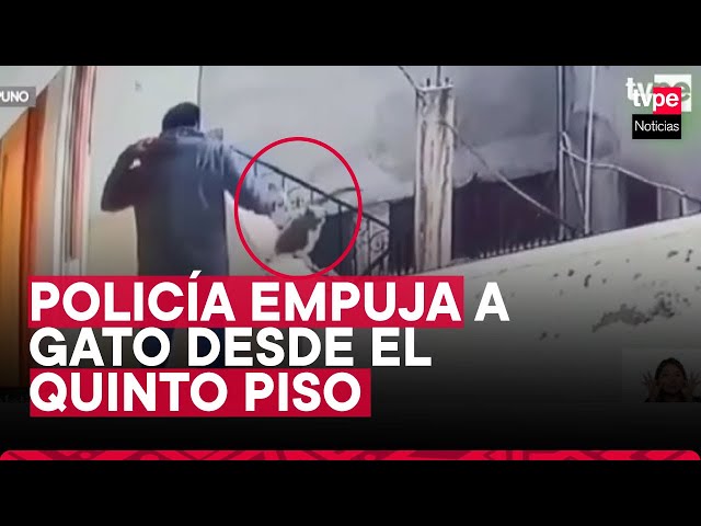 Puno: Policía empuja a un gato del quinto piso