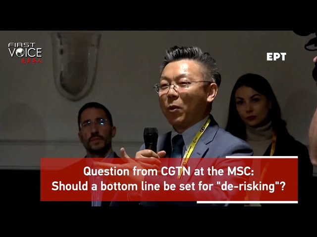 CGTN at the MSC: Should a bottom line be set for 'de-risking'?