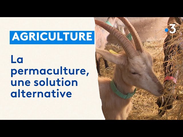 La permaculture, une solution alternative