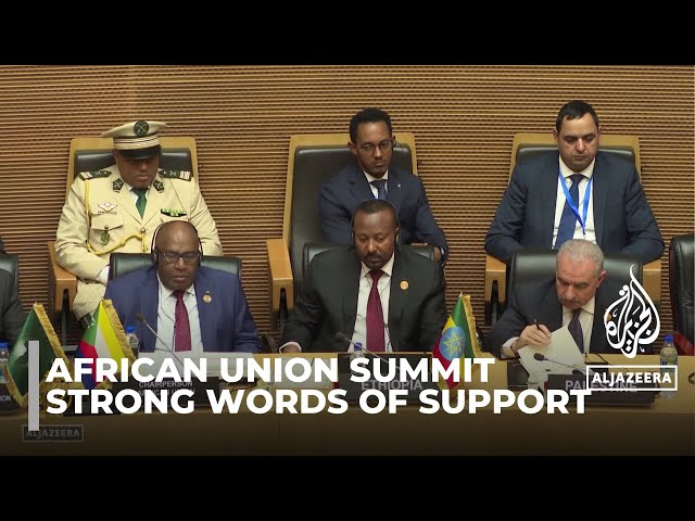 African leaders condemn Israeli war on Gaza