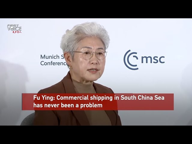 Fu Ying: Commercial shipping in South China Sea has never been a problem