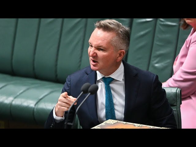 Chris Bowen’s fuel efficiency standards could lead to fewer car sales