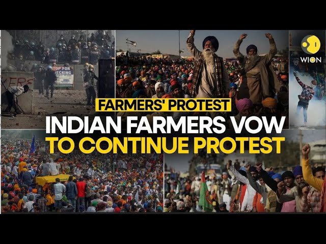 Farmers' Protest LIVE Updates: Farmers to stage 'dharna' in 4 states on Feb 21 | WION