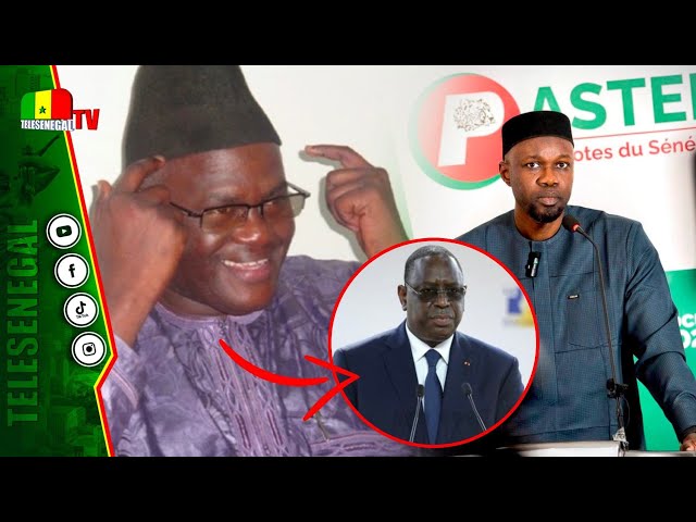 Amnistie proposée par Macky pour libérer Sonko : Modibo Diop "lima guiss daloul sama xel…"