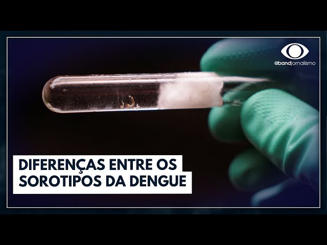 Quais as diferenças entre os tipos de dengue? | Band em Alta