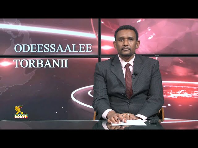 Ethiopia - Oddeessaalee Tobanii Feb 18 2024