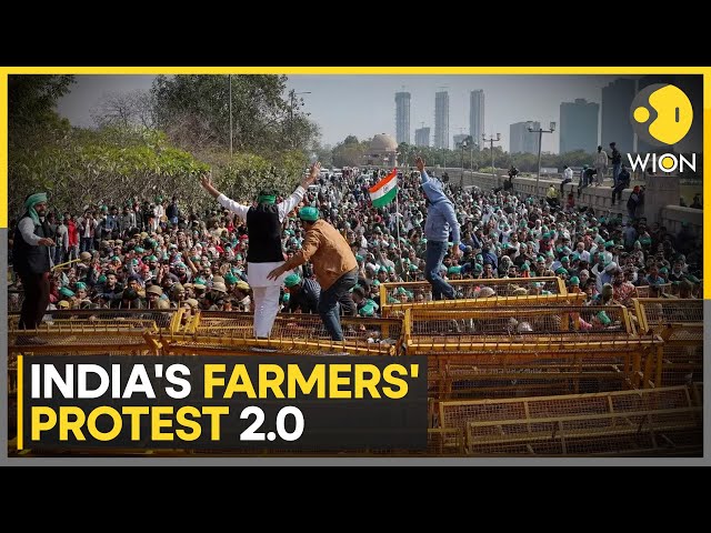 India's Farmers' Protest: What farmers are demanding? | World News | WION