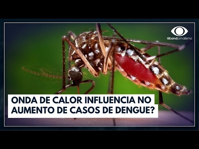 Onda de calor influencia no aumento de casos de dengue? | Band em Alta