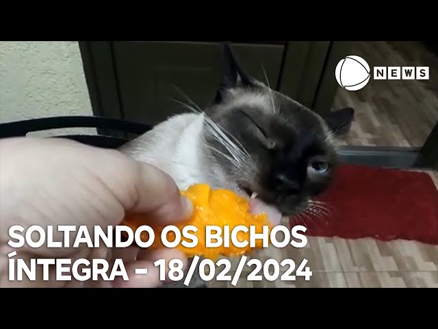 Soltando os Bichos - 18/02/2024