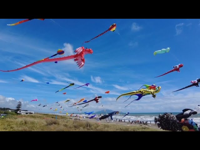 Kite enthusiasts from across the world descend on New Zealand for kite festival