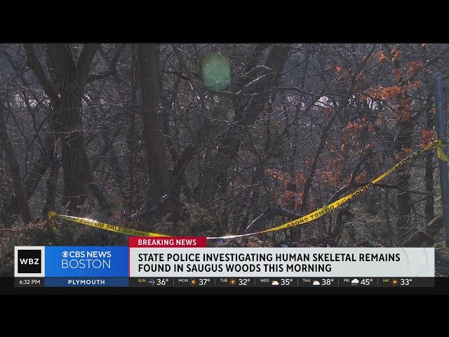 Evidence of decomposed human remains found in Saugus woods