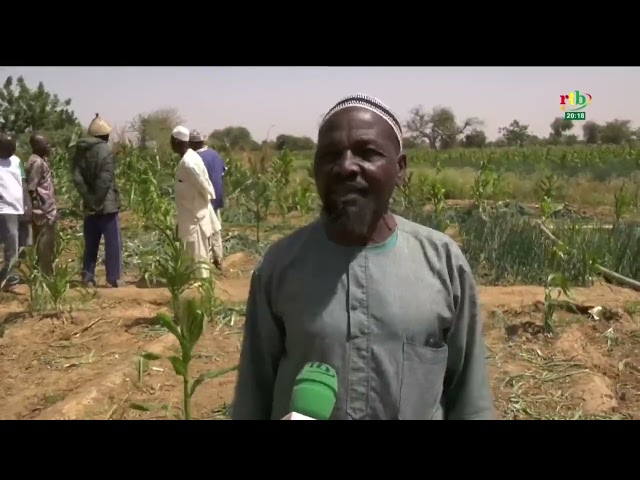 Sécurité alimentaire : zoom sur la production des légumes au Plateau Central