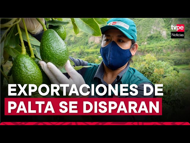 Los agricultores de Palta de Huánuco están consolidando una asociación