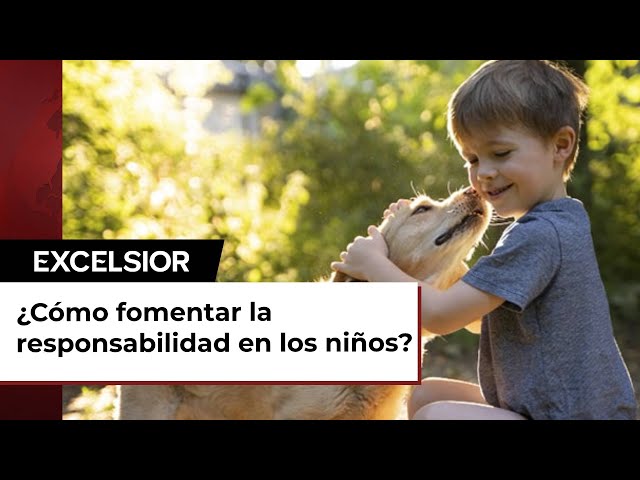 ¿Cuáles son los beneficios de tener una mascota?