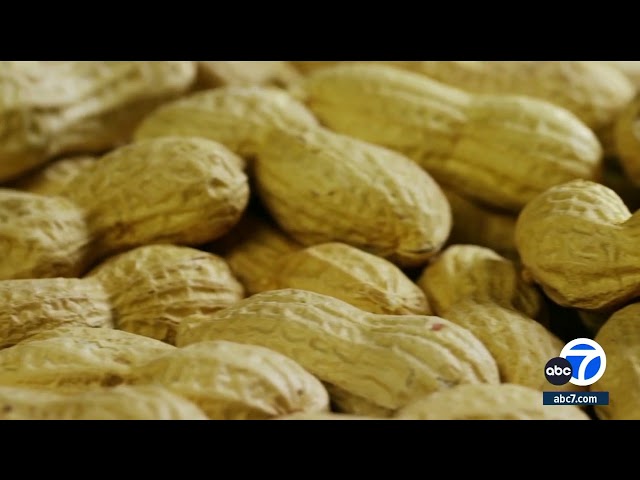 FDA approves medication used to treat asthma for use in people with multiple food allergies