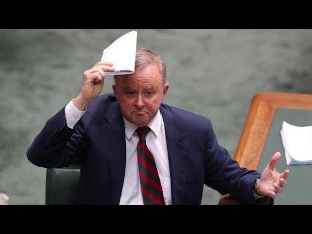 ‘Massive failure’: Albanese's ‘horrible decision’ to slash border protection funds