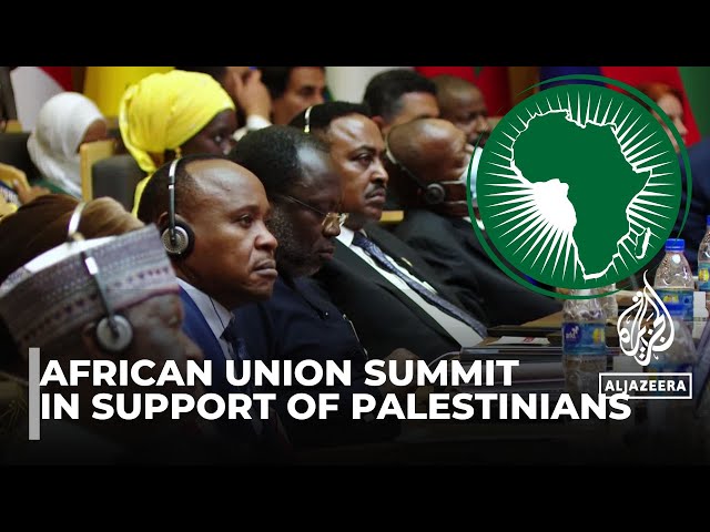 African Leaders Unite in Condemning Israeli War on Gaza