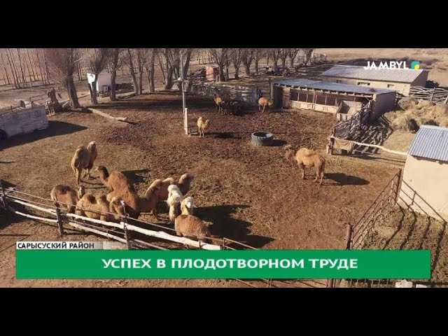 ⁣Успех в плодотворном труде