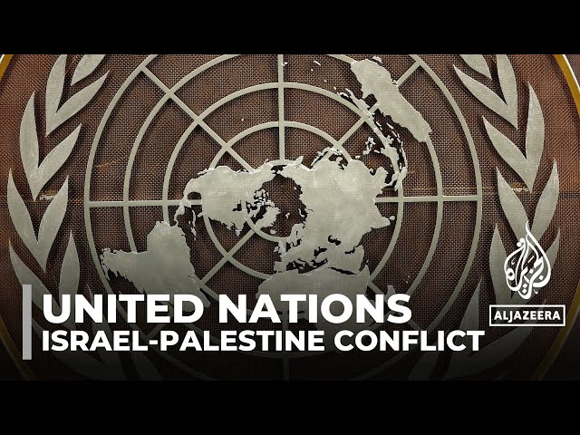 The Palestine question: Point of contention between United Nations bodies