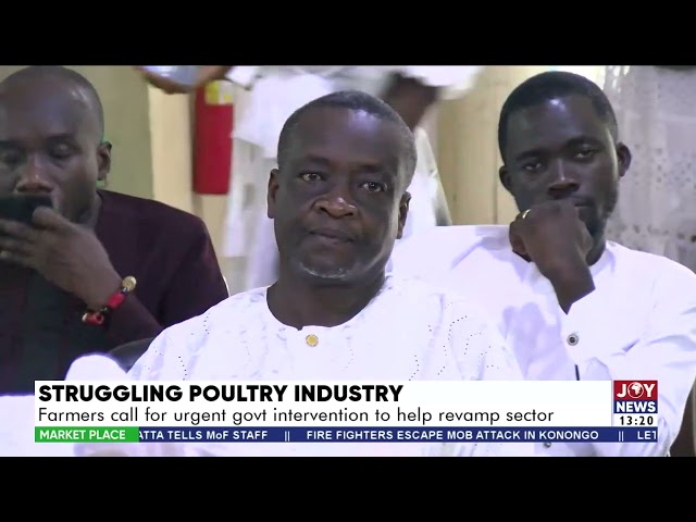 Struggling Poultry Industry: Farmers call for urgent government intervention to help revamp sector