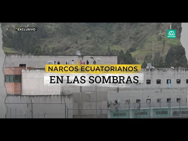 Narcos ecuatorianos en las sombras: Peligrosa banda ya estaría instalada en Chile