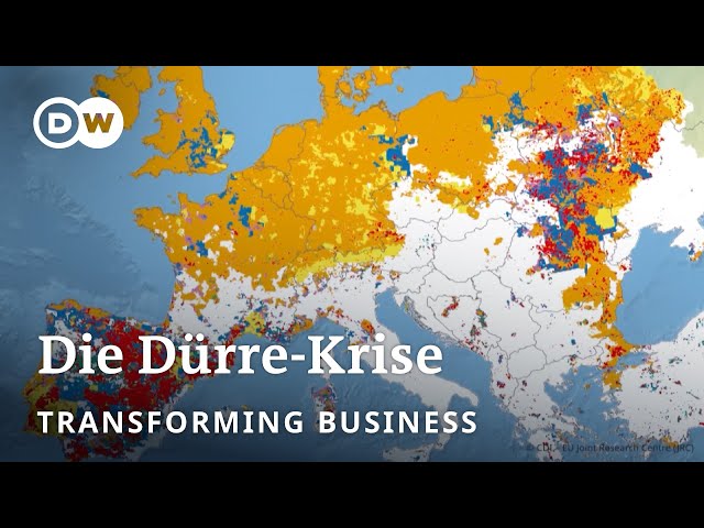 Wie können wir verhindern, dass die Landwirtschaft austrocknet? | Transforming Business