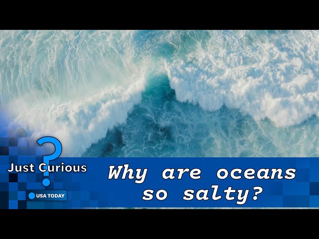 Why is the sea salty? Here's what to know about ocean salinity. | JUST CURIOUS