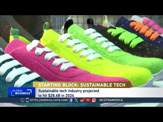 Global Business: Sustainable tech and fashion paving the way of the future