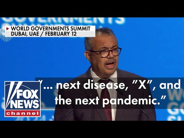 Next pandemic 'a matter of when, not if,' says WHO head