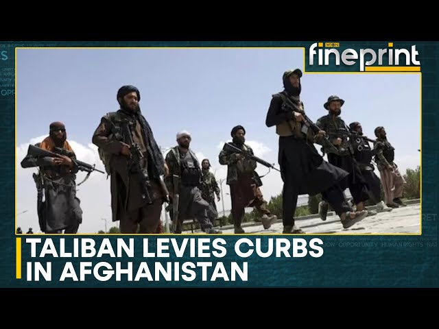 Curbs in Afghanistan: A look at repression of rights after 2021 Taliban takeover | WION Fineprint