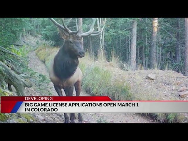 Colorado big game license applications open in March