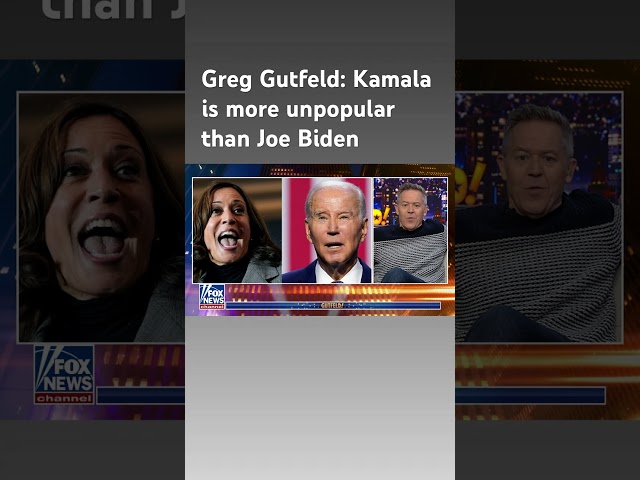 Greg Gutfeld pokes fun at Kamala Harris' love of the yellow school bus #shorts